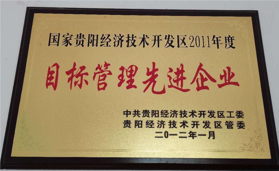 目標(biāo)管理先進企業(yè)1