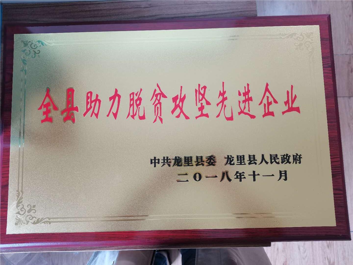 全縣助力脫貧攻堅先進企業（yè）.